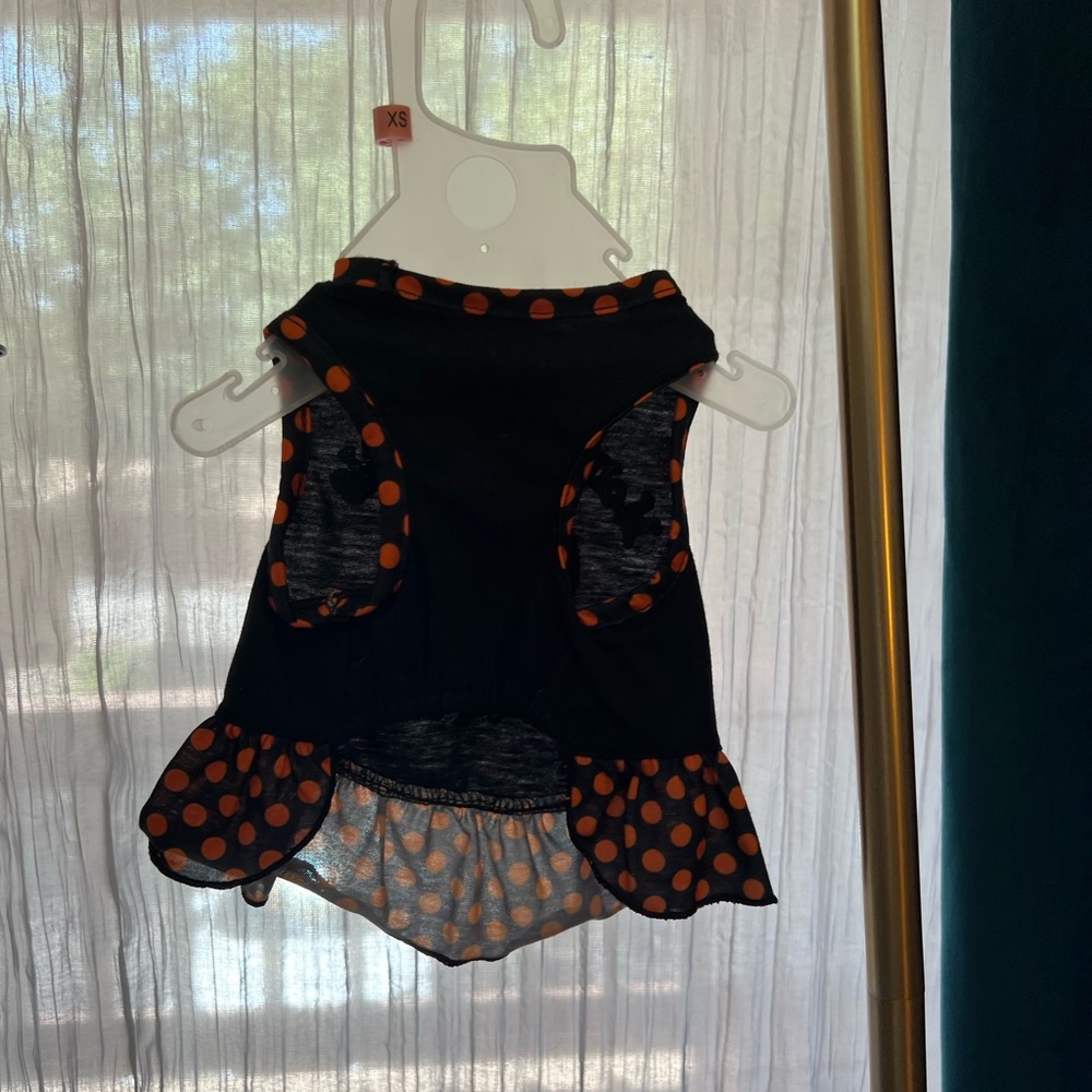 Dog Pumpkin Dress!